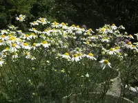 BILD0548.webp