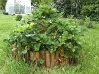 BILD0468.webp