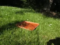 BILD0504.webp