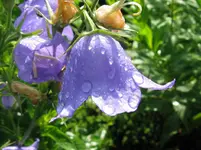 IMG_3250_1067x800.webp