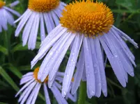 IMG_3219_1067x800.webp
