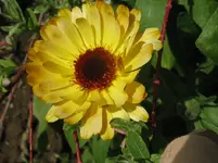 IMG_3304_1067x800.webp