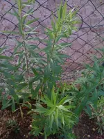 Foto2.webp