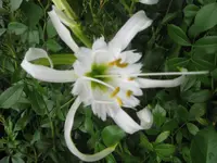 IMG_0765.webp