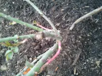 2011-06-06 20.27.52.webp