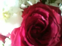 2011-06-06 18.39.52.webp