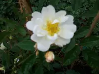 2011-06-06 16.20.33.webp