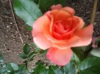 2011-06-06 16.21.50.webp
