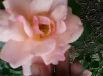 2011-06-06 16.21.58.webp