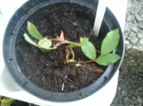 2011-06-06 20.26.45.webp