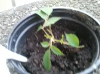 2011-06-06 20.27.00.webp