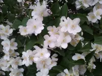 2011-06-06 20.26.06.webp
