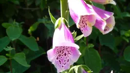 K800_Juni 2011 201.webp