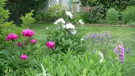 K800_Juni 2011 216.webp