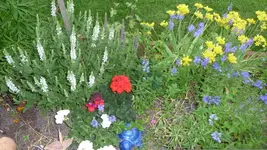 K800_Juni 2011 219.webp