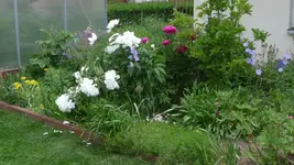 K800_Juni 2011 221.webp