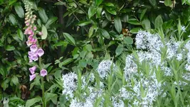 K800_Juni 2011 222.webp