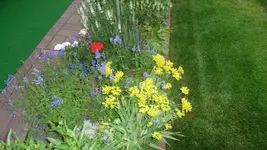 K800_Juni 2011 226.webp