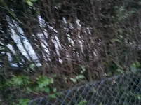 2011-06-06 21.22.05.webp