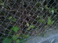 2011-06-06 21.22.09.webp