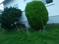 2011-06-06 21.24.14.webp
