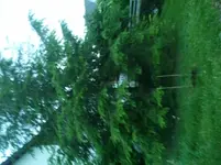 2011-06-06 21.22.51.webp