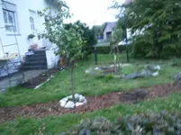 2011-06-06 21.22.29.webp