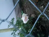 2011-06-06 21.23.38.webp