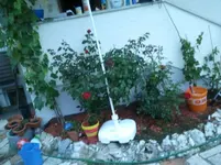 2011-06-06 21.20.28.webp