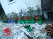2011-06-06 21.20.21.webp