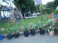 2011-06-06 21.19.39.webp