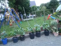 2011-06-06 21.19.44.webp