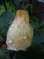 140.webp