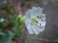 037.webp
