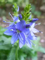 214.webp