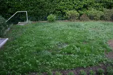 IMG_1239.jpg