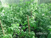 BILD0034.webp