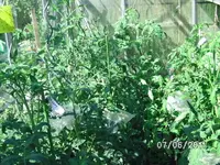 BILD0035.webp
