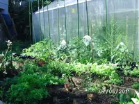 BILD0037.webp