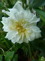 04_Albéric Barbier.webp