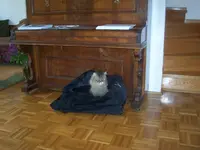 100_2807.webp