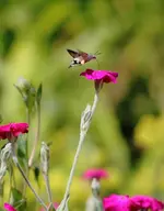 IMG_5540.webp