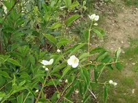 DSCF4562.webp