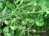 BILD0044.webp