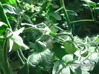 BILD0047.webp