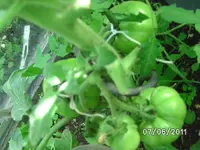 BILD0049.webp