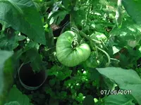 BILD0050.webp