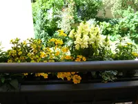 IMG_1758.webp