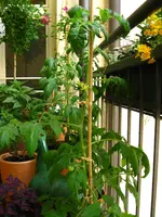 IMG_1748.webp