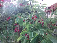 DSC01092.webp